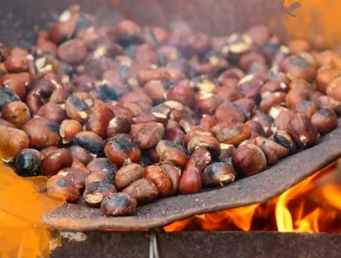 Día de la Castañera en Castalla