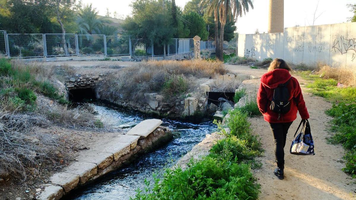 Acequia Mayor de Elche y Presa del Pantano