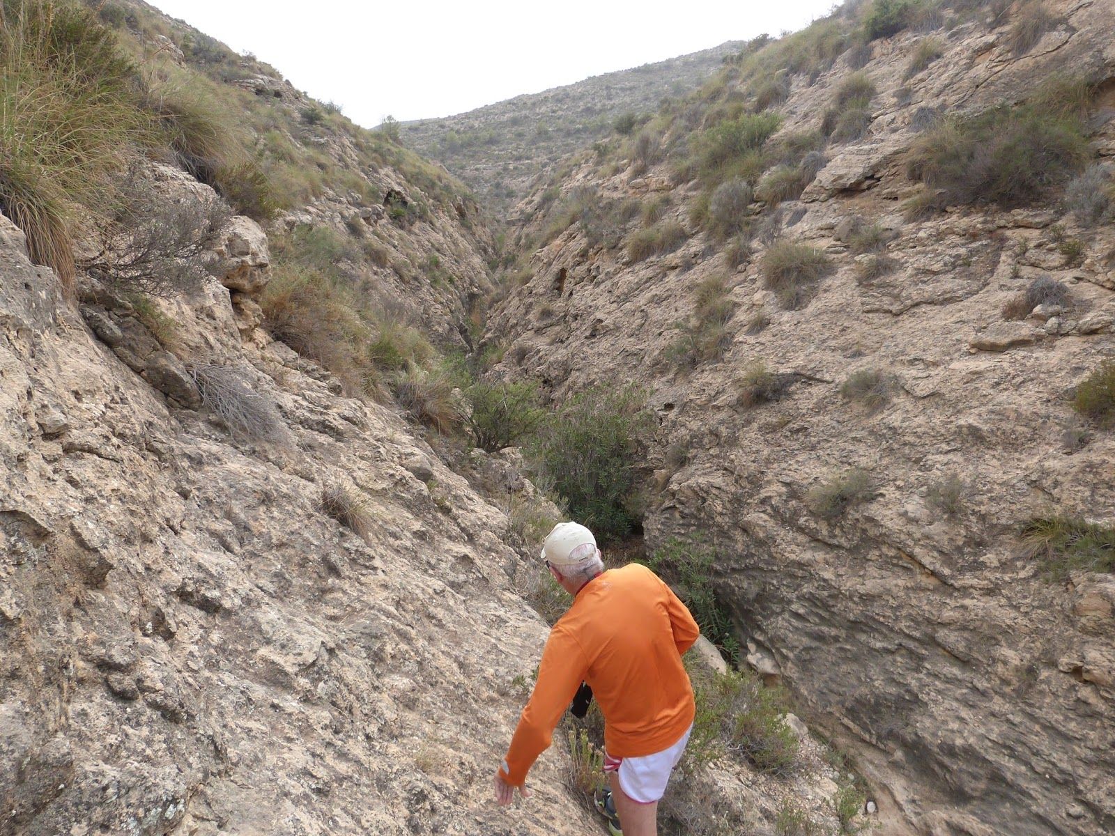 Ruta al Alto de Castro y barranco de Barbasena