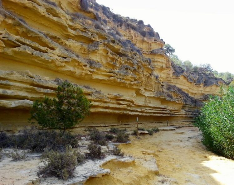 Ruta Al R O Seco Pilar De La Horadada Km